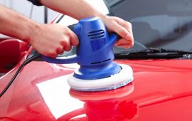 pulido - Distribuidora Caduceo